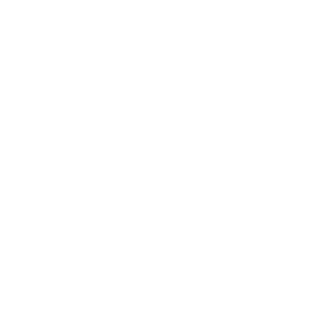 audi1