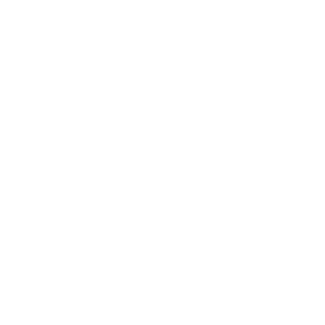 fiat1