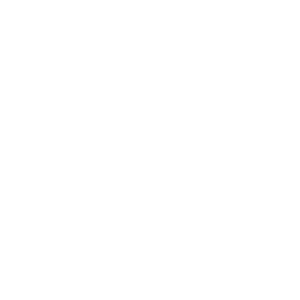 ford1
