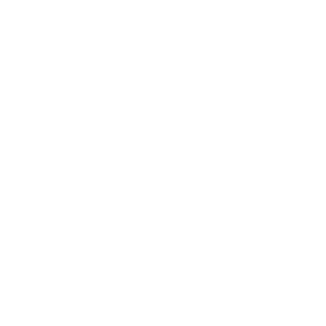 hyndai1