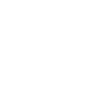 subaru1