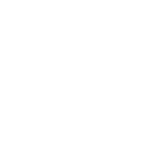 toyota1