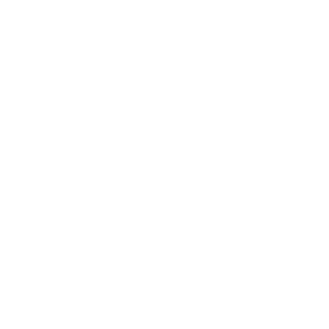 volkswagen1